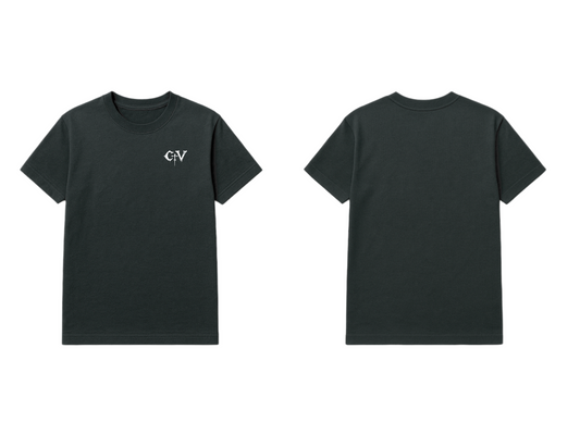 CV Essentials
